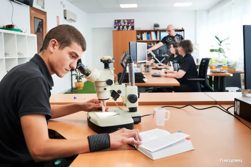 Insec Control de Plagas y Sanidad Ambiental