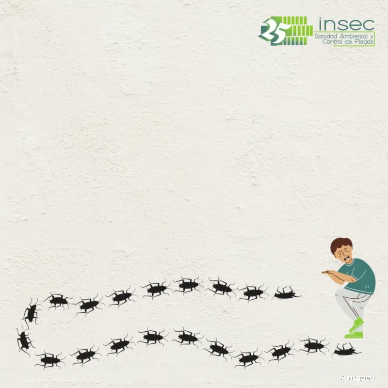 Insec Control de Plagas y Sanidad Ambiental