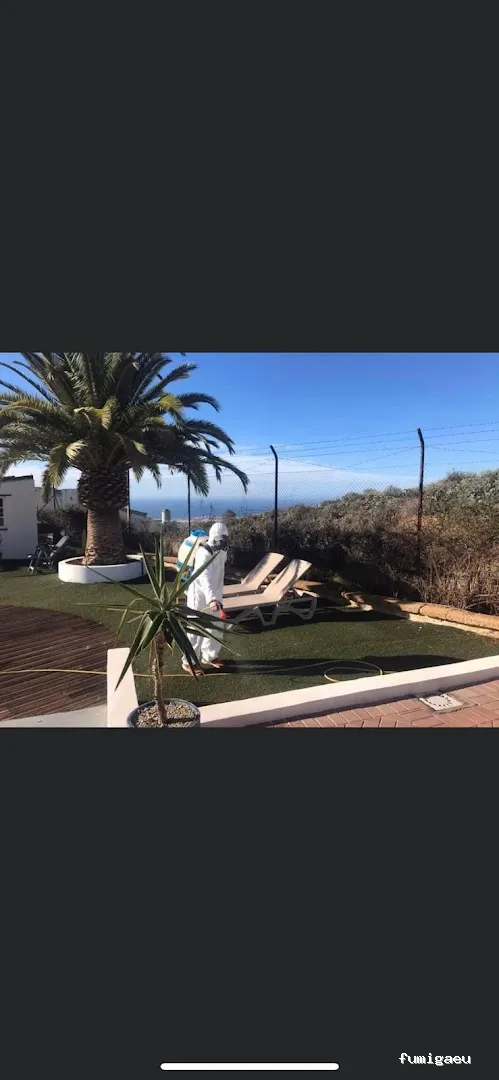AntiPlagas Tenerife