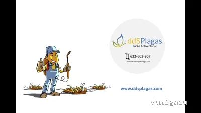 DDS Plagas | Control de Termitas | Eliminar Cucarachas