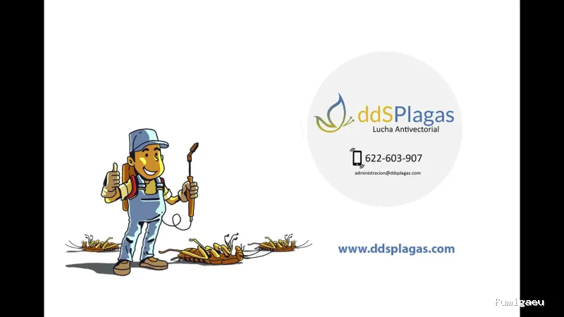 DDS Plagas | Control de Termitas | Eliminar Cucarachas