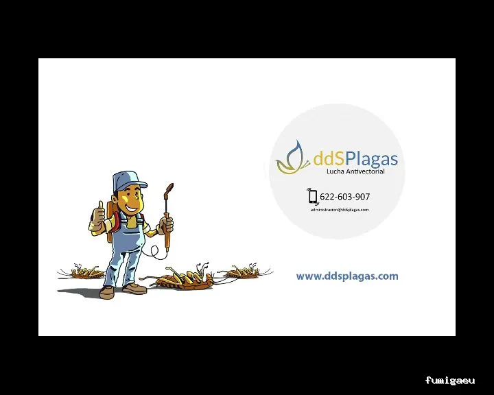 DDS Plagas | Control de Termitas | Eliminar Cucarachas