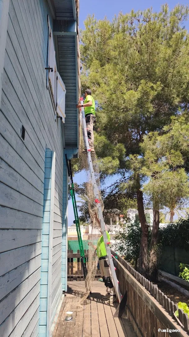 DDS Plagas | Control de Termitas | Eliminar Cucarachas