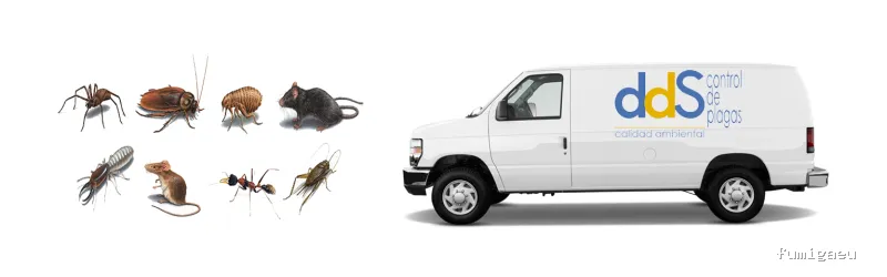 DDS Plagas | Control de Termitas | Eliminar Cucarachas
