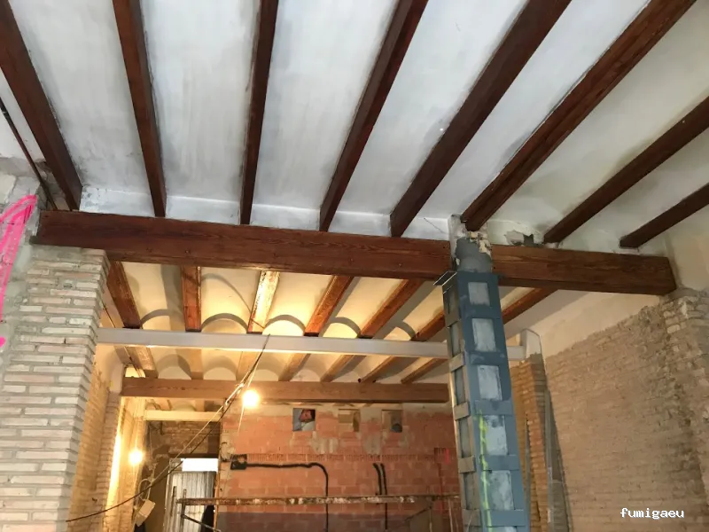 DDS Plagas | Control de Termitas | Eliminar Cucarachas