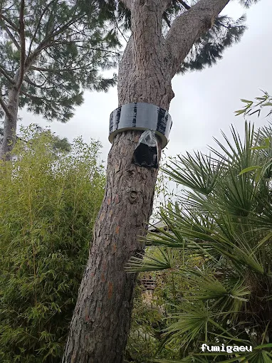 Asistencia Plagas Jumisa