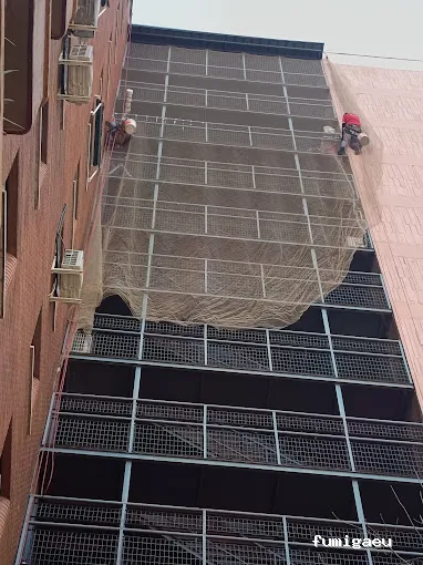 Asistencia Plagas Jumisa