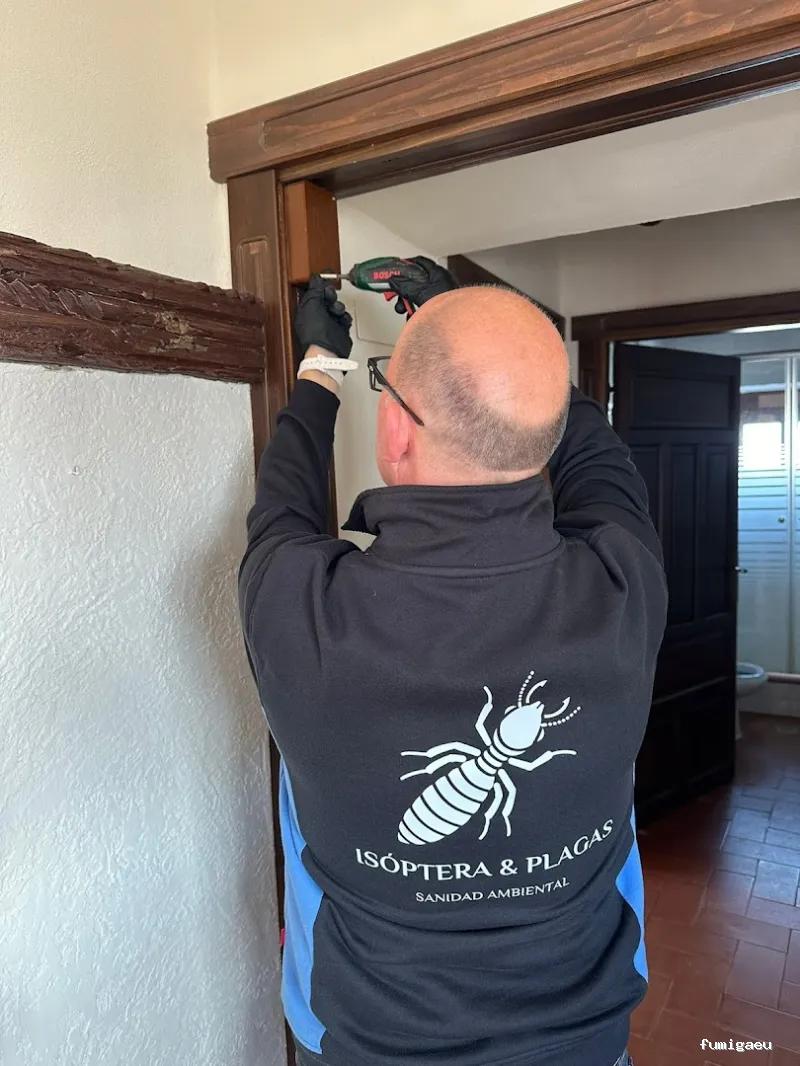 Isoptera y plagas