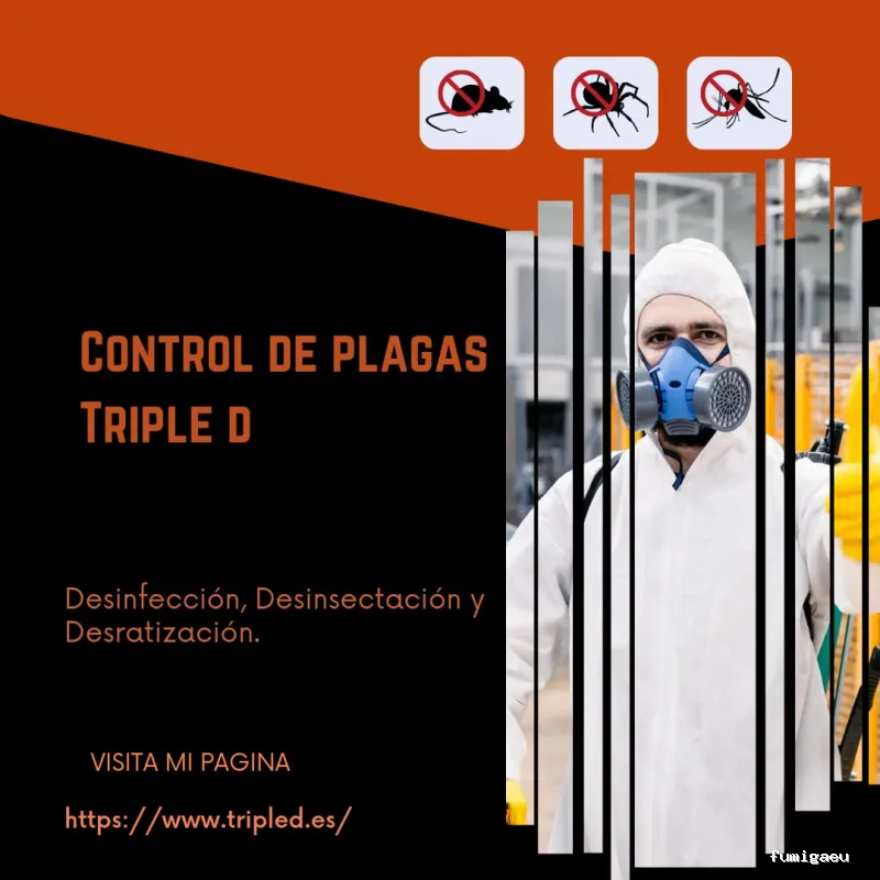 Control de plagas Triple D. S.L