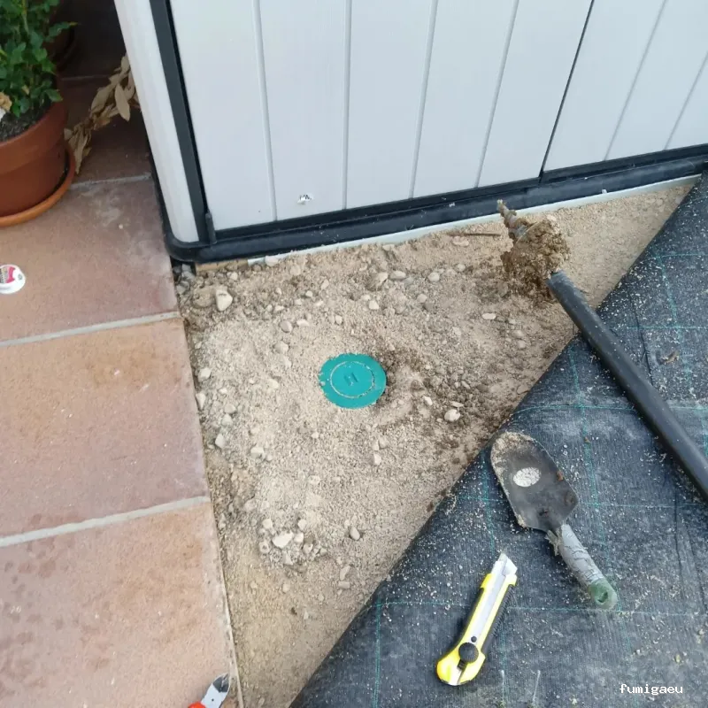 Control de plagas Triple D. S.L