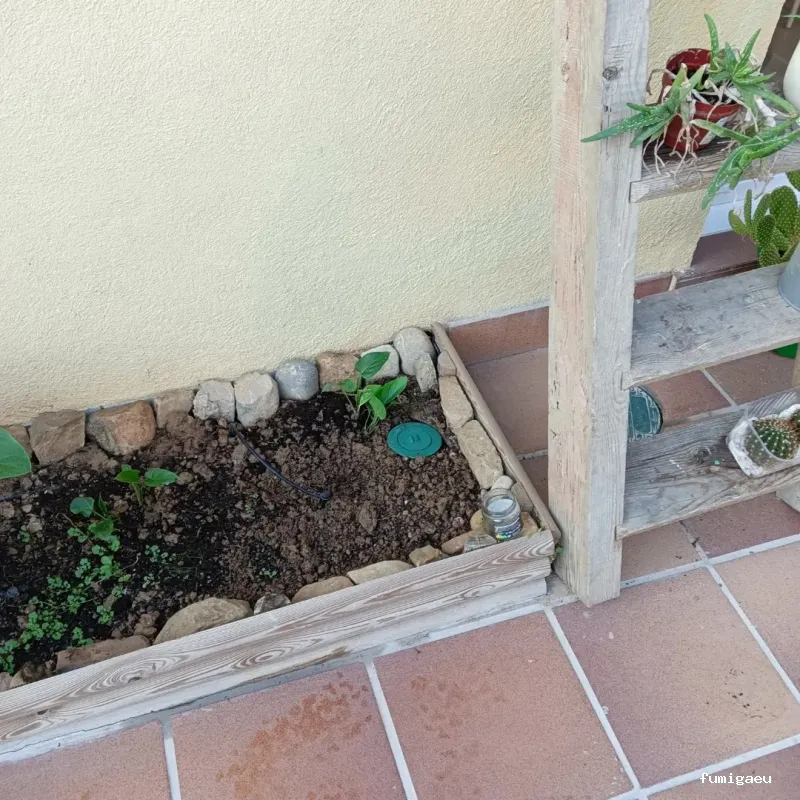 Control de plagas Triple D. S.L