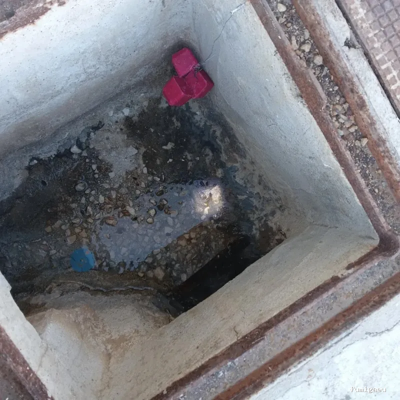 Control de plagas Triple D. S.L