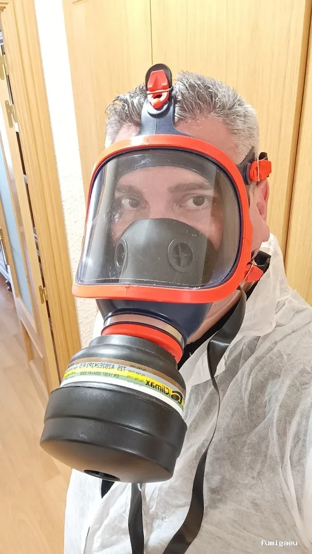 Control de plagas Triple D. S.L