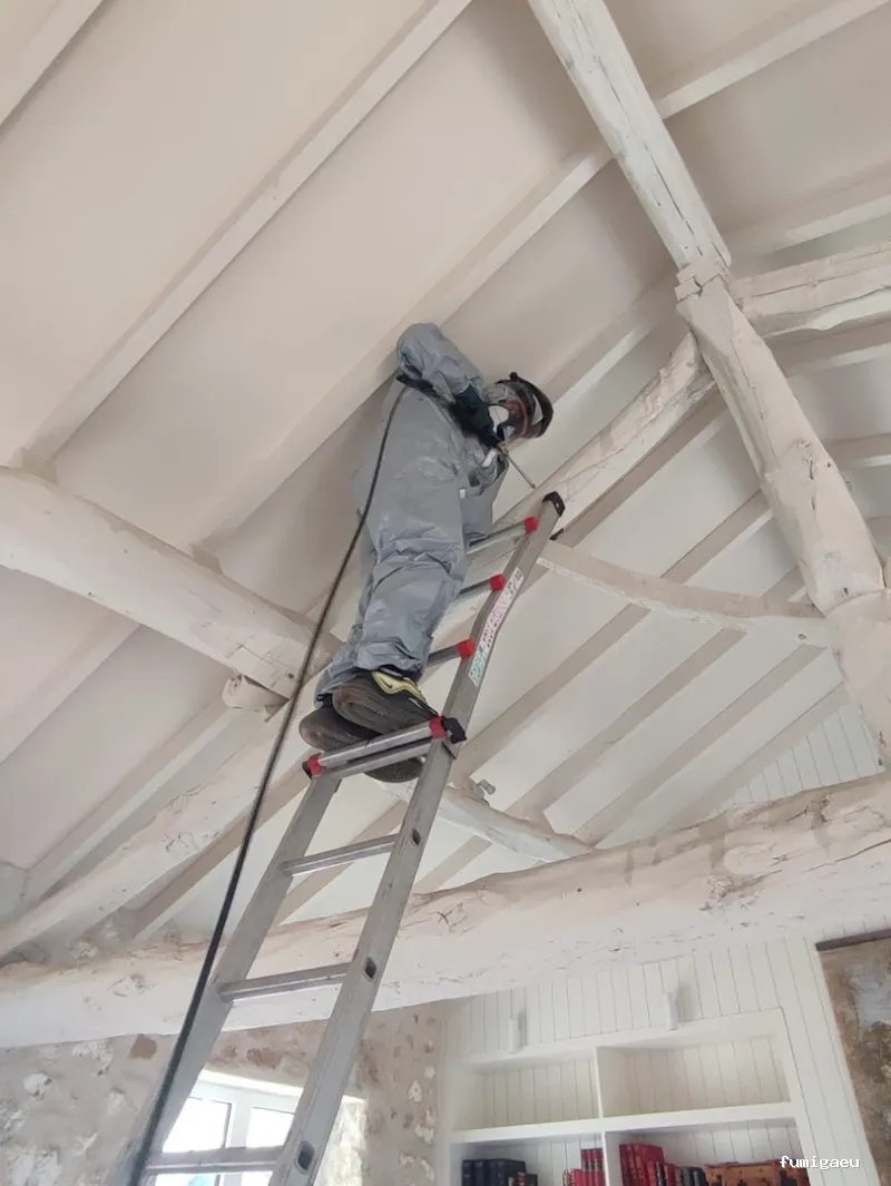 Pest-Rapid | Control de Plagas