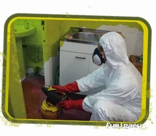 Pest-Rapid | Control de Plagas