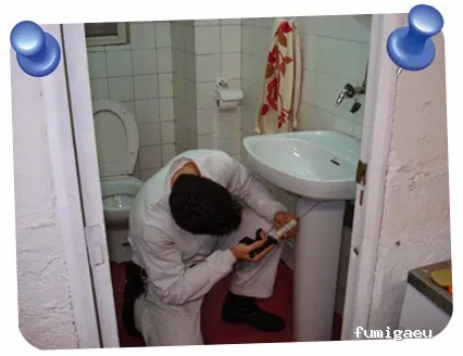 Pest-Rapid | Control de Plagas