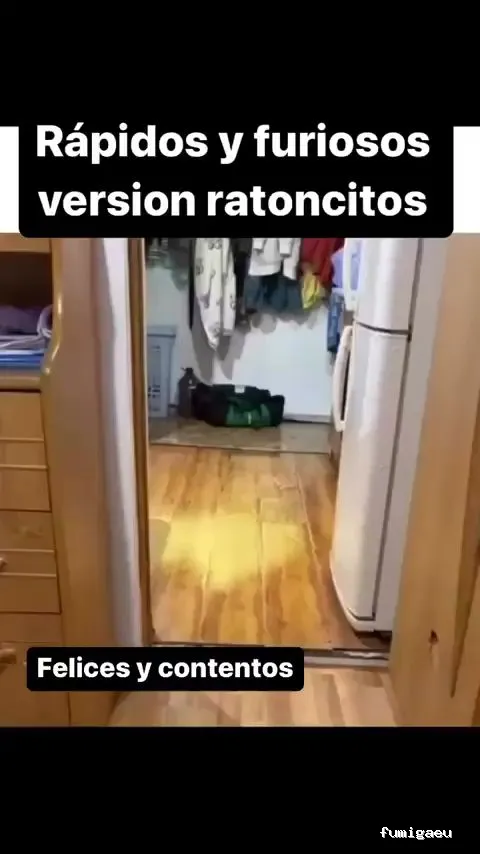 Control Ardeca - Fumigación plagas Barcelona