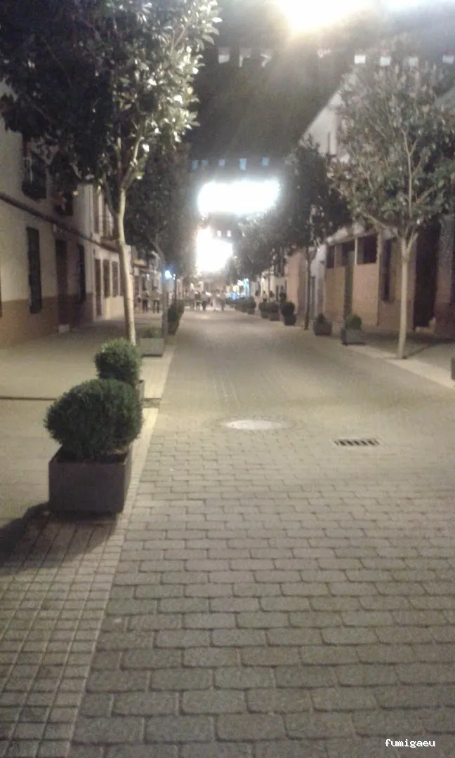 Alvector Control de Plagas S.L