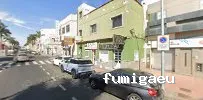 Fumigaciones Lider Canarias - Fumigación y Control de Plagas