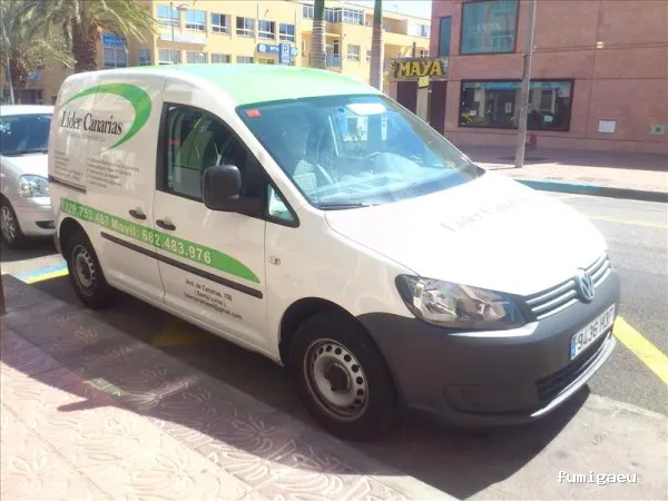 Fumigaciones Lider Canarias - Fumigación y Control de Plagas