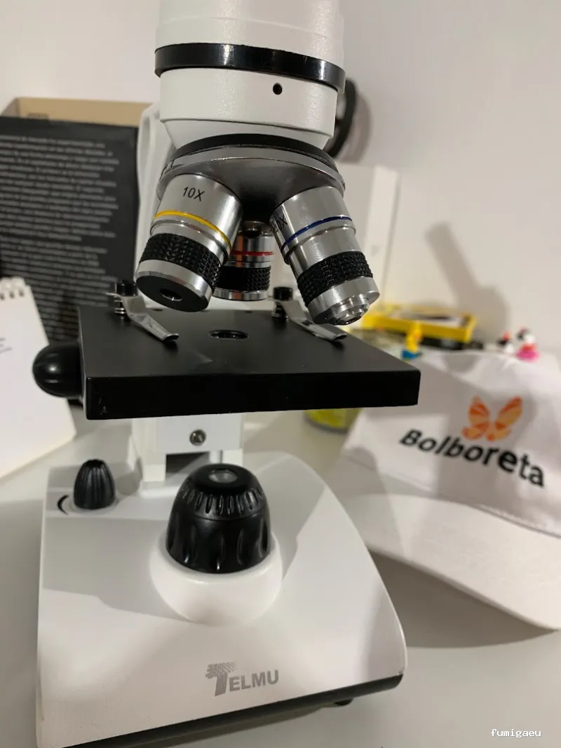 Bolboreta Plagas-Fumigación y Control de Plagas