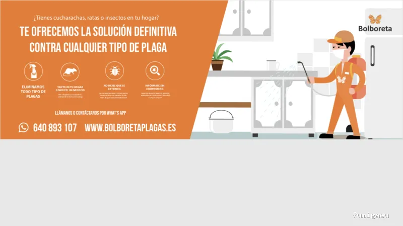 Bolboreta Plagas-Fumigación y Control de Plagas