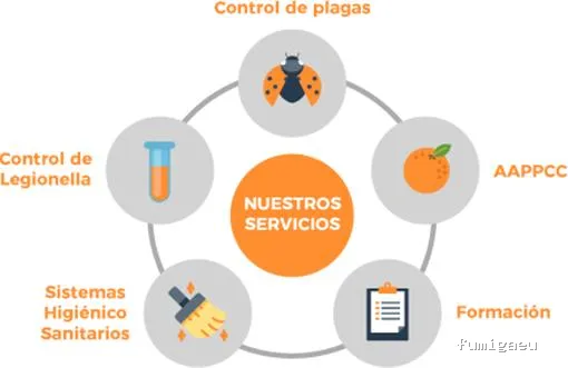 Bolboreta Plagas-Fumigación y Control de Plagas