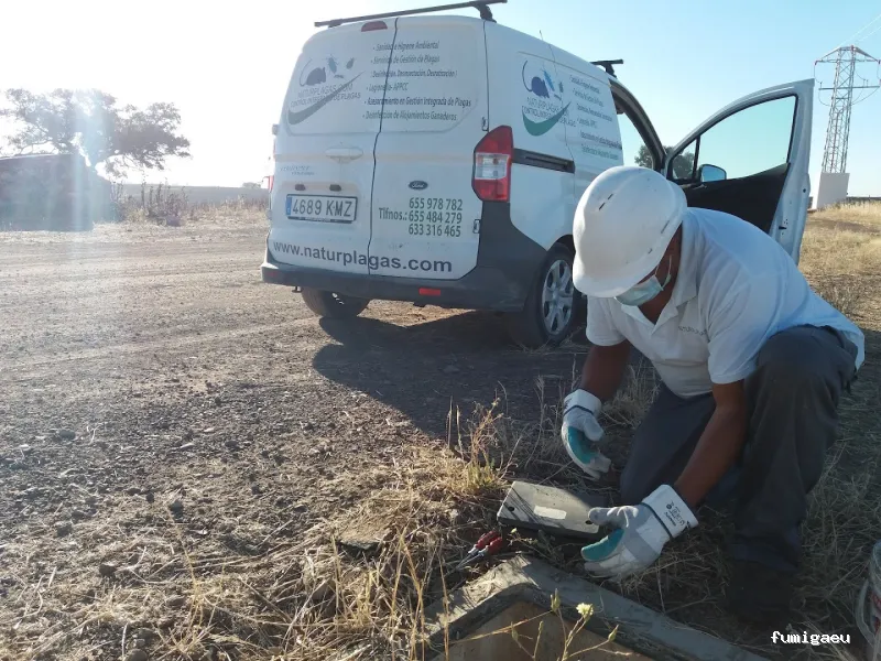 NATURPLAGAS. PLagas , Fumigaciones , Desinfecciones