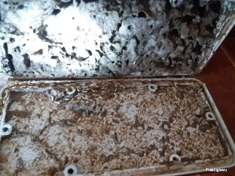 NATURPLAGAS. PLagas , Fumigaciones , Desinfecciones