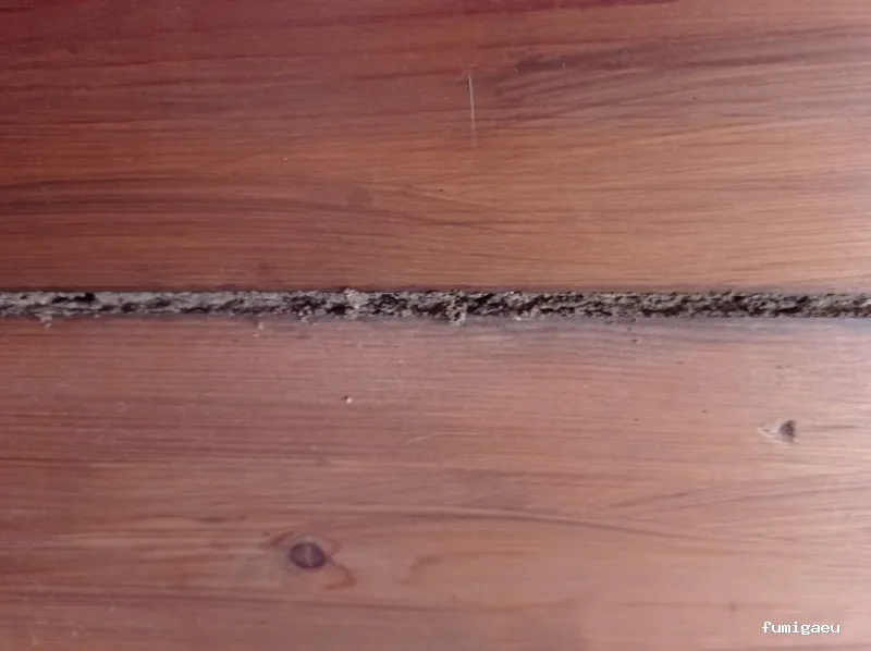 NATURPLAGAS. PLagas , Fumigaciones , Desinfecciones