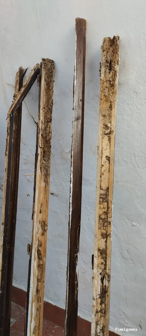 NATURPLAGAS. PLagas , Fumigaciones , Desinfecciones