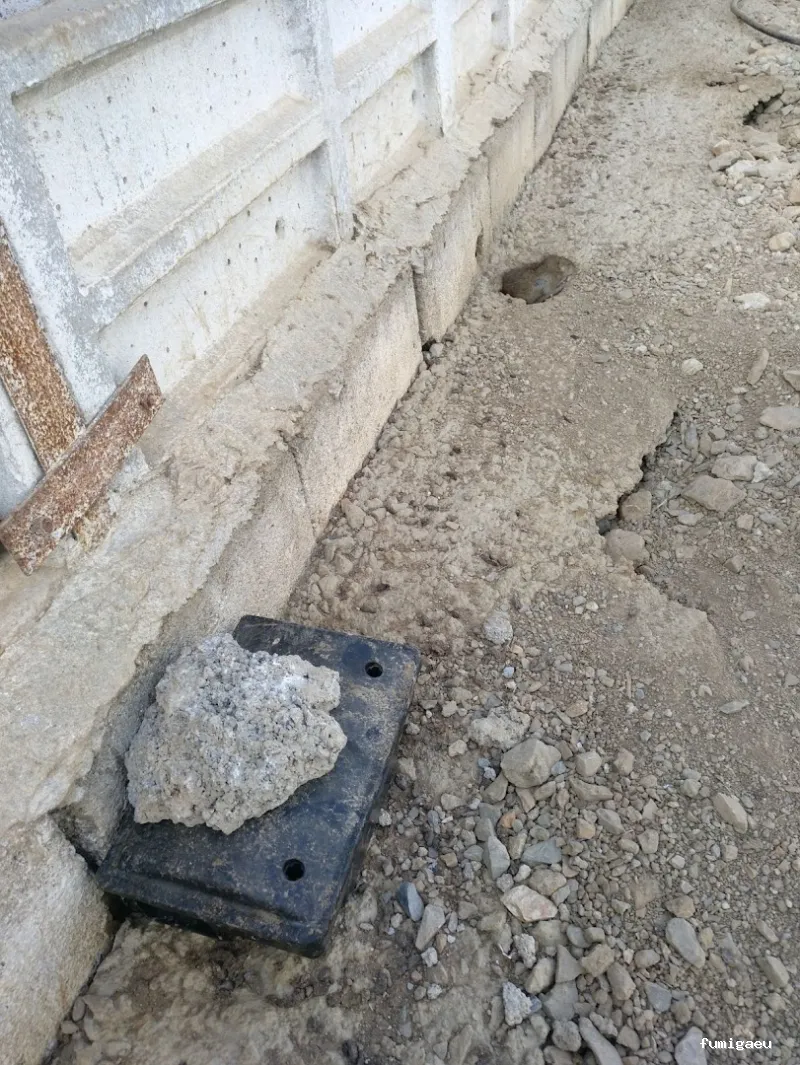 NATURPLAGAS. PLagas , Fumigaciones , Desinfecciones