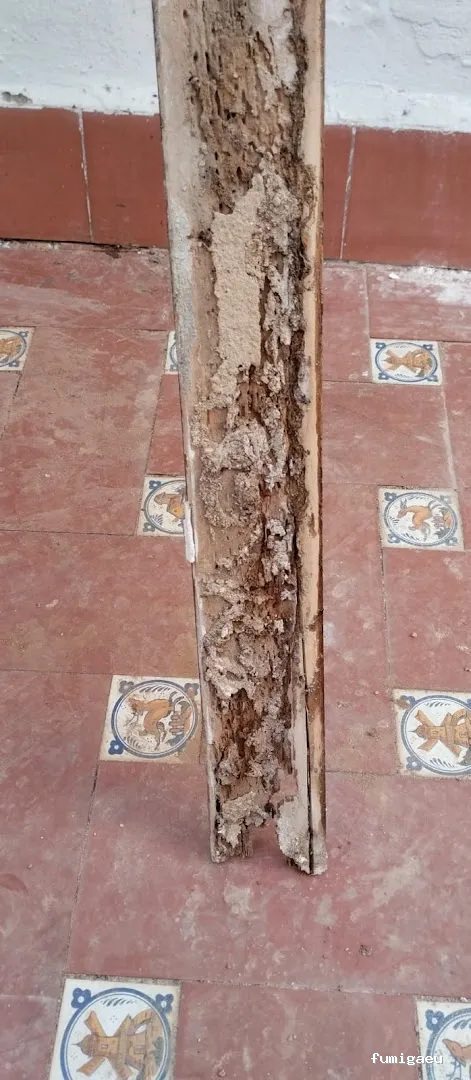 NATURPLAGAS. PLagas , Fumigaciones , Desinfecciones