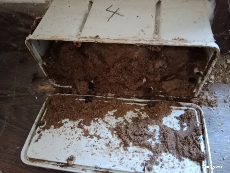 NATURPLAGAS. PLagas , Fumigaciones , Desinfecciones