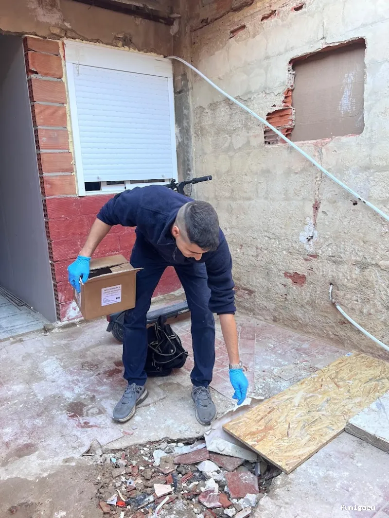 Sky Control de Plagas en Valencia