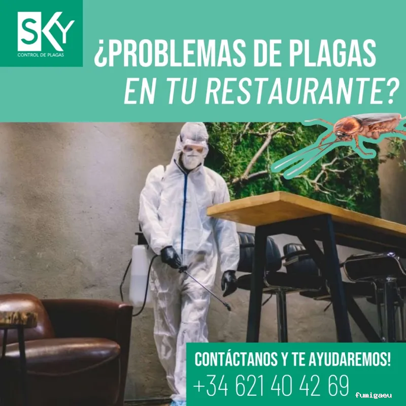Sky Control de Plagas en Valencia