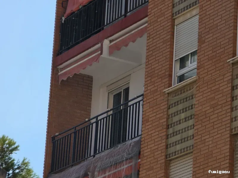 Sky Control de Plagas en Valencia