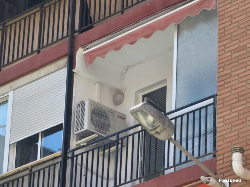 Sky Control de Plagas en Valencia