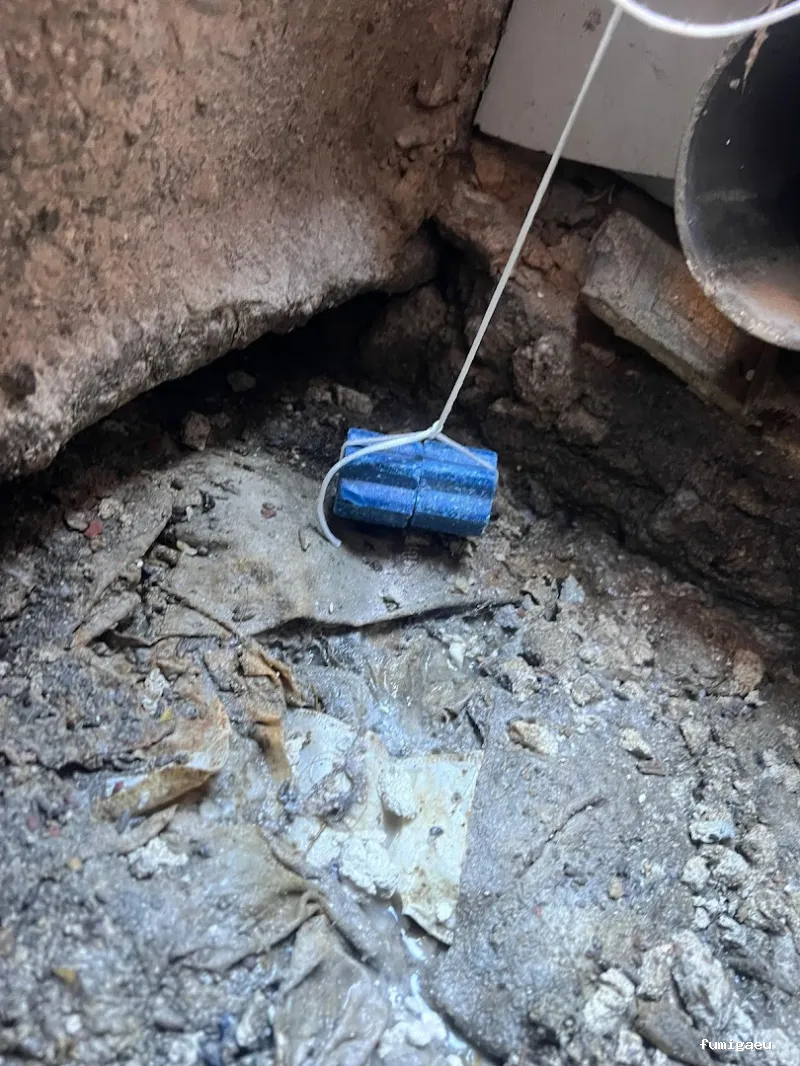 Sky Control de Plagas en Valencia