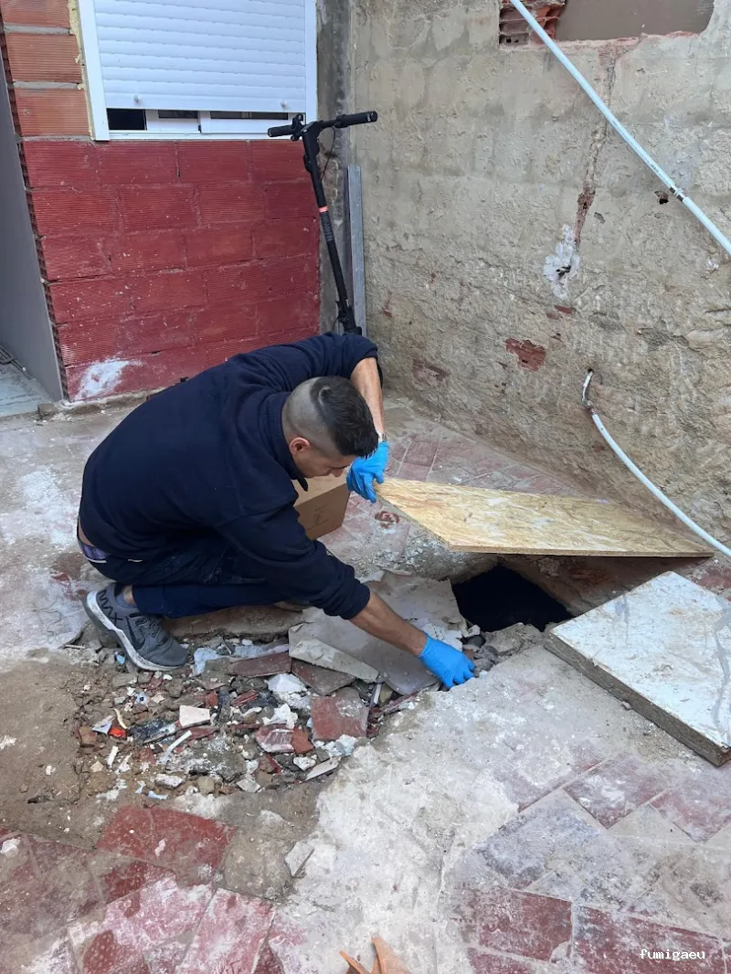 Sky Control de Plagas en Valencia