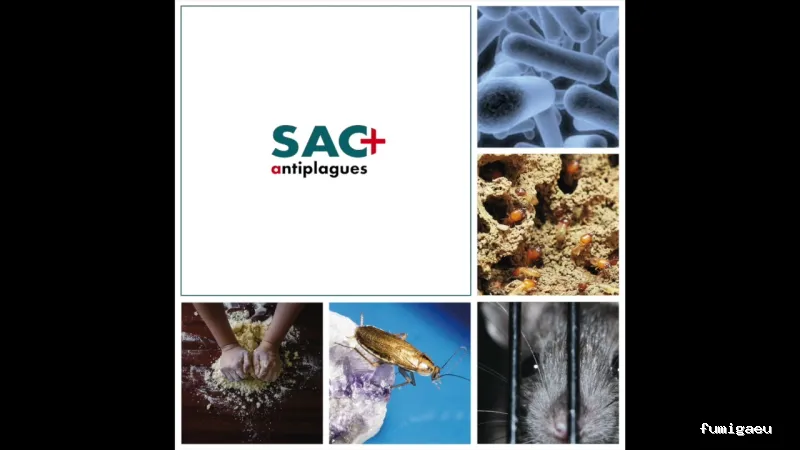 SAC - Antiplagues de Catalunya, S.L.