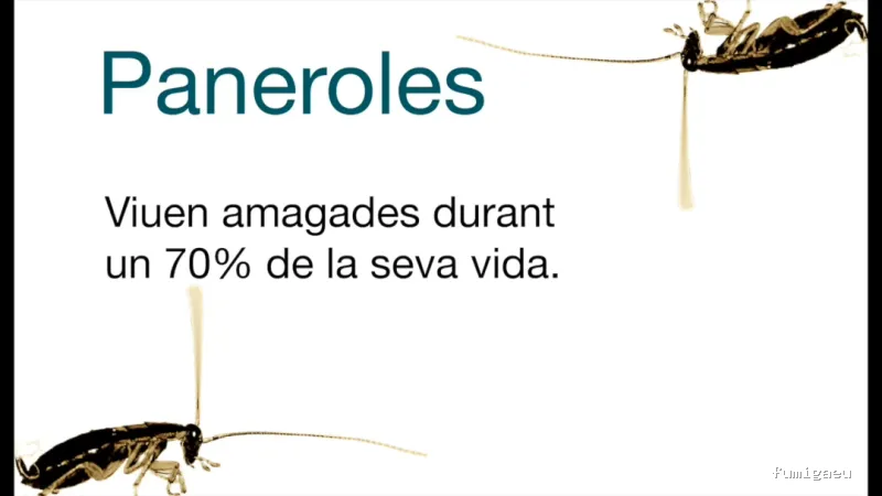 SAC - Antiplagues de Catalunya, S.L.