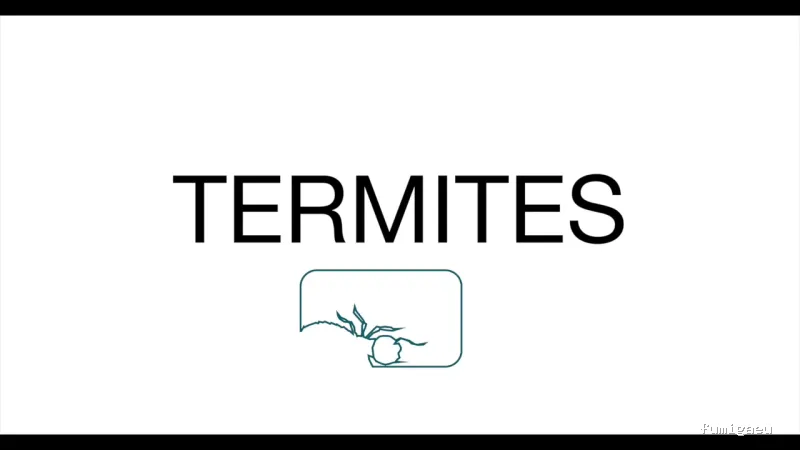 SAC - Antiplagues de Catalunya, S.L.