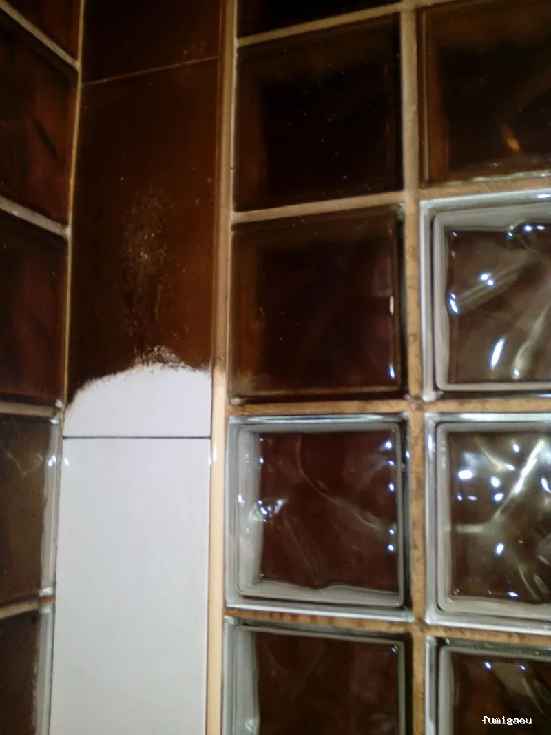 Limpiezas Brillastur