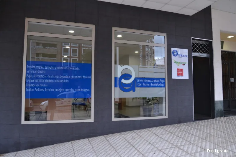 Limpiezas Brillastur