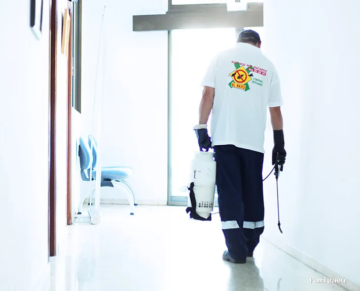 El Rayo Facility Services