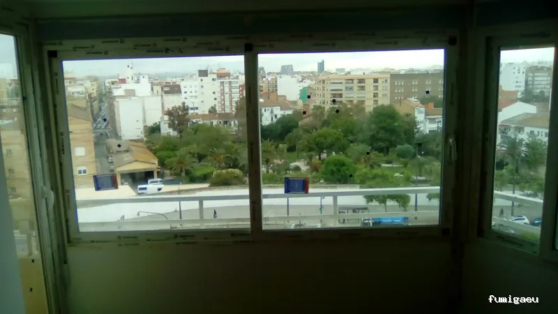 El Rayo Facility Services