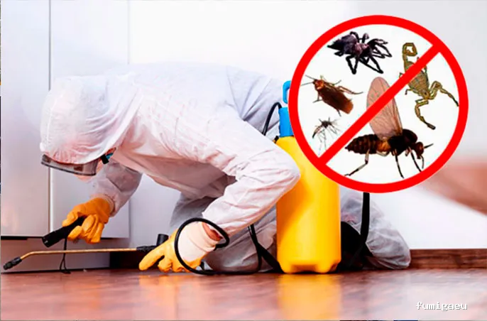 Hisal. Control de plagas Almería. Empresa de fumigación.