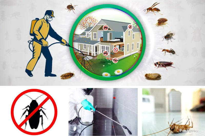 Hisal. Control de plagas Almería. Empresa de fumigación.