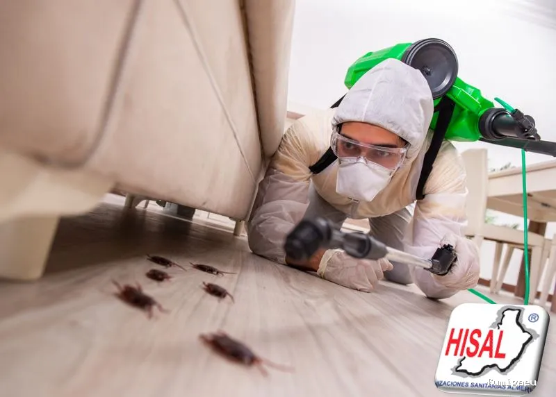 Hisal. Control de plagas Almería. Empresa de fumigación.